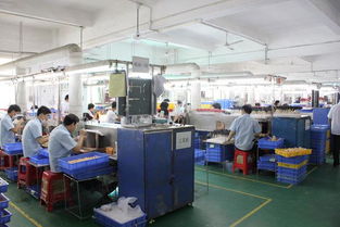 加工廠的發(fā)展歷史與技術(shù)開發(fā)